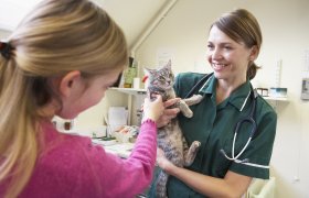Veterinær med katt