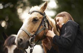 Jente klapper hest 