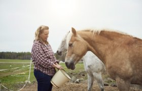 Hestefaglært forer hest ute på paddock.