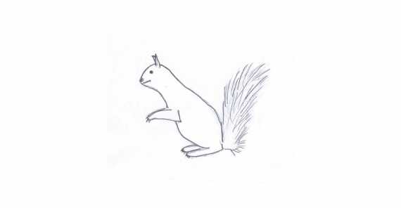 Tegning av et ekorn.