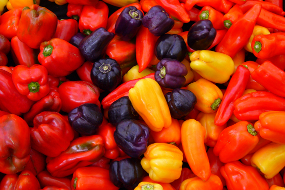 Bilde av mange ulike typer paprika.