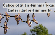 Čáhcelottit Sis-Finnmárkkus