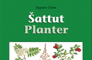 Planter