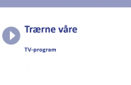 Trærne våre