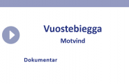 Vuostebiegga