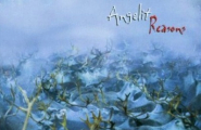 Angelit Reasons