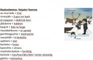 Baakoelæstoe - Nejpien faamoe