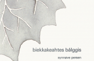 Biekkakeahtes bálggis