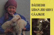 Dåeredh Ijdan jih sirvi gåajkoe