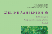Gïeline åahpenidh 3b - Lohkemegærja