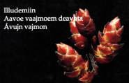 Aavoe vaajmoem deavhta