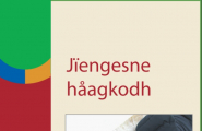 Jïengesne håagkodh