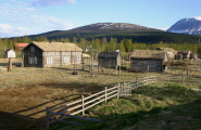 Visttit