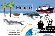 Guvviebaakoelæstoe: mearoe