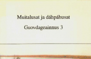 Muitalusat ja dáhpáhusat Guovdageainnus 3