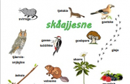  Guvviebaakoelæstoe: Skåajjesne