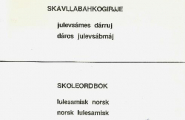 Skåvllåbáhkogirjje