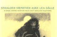 Staaloeh vienhtieh aske lea dålle 