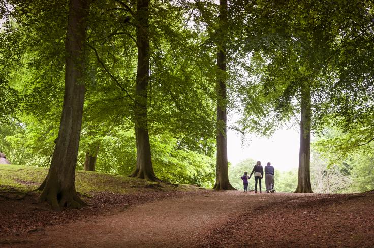 To voksne og et barn som går tur i en park.