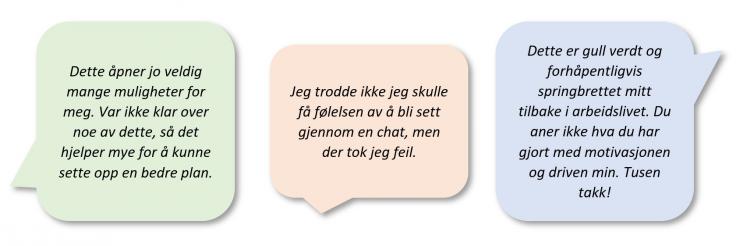 Eksempler på tilbakemeldinger.