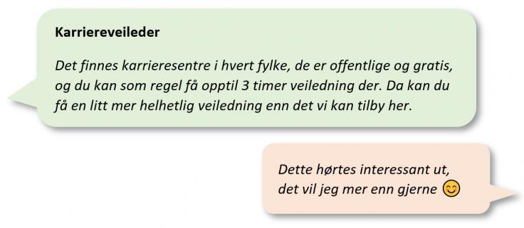 Utdrag fra en samtale med veisøker.