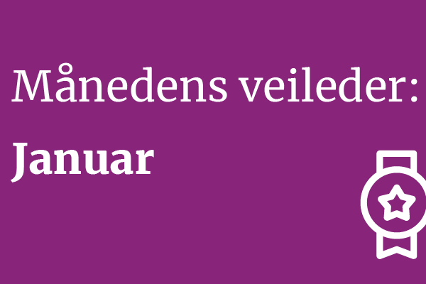 Månedens veileder januar