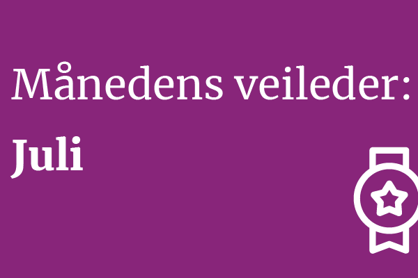 Månedens veileder juli
