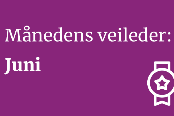 Månedens veileder juni