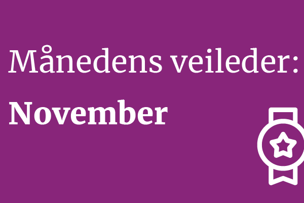 Månedens veileder desember