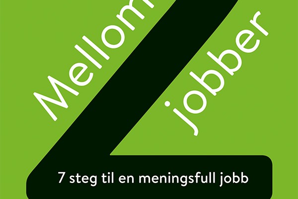 Grønt forsidecover til boka Mellom to jobber