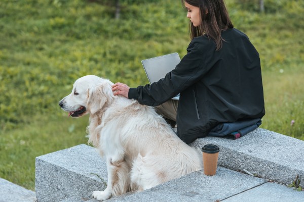 Bilde av kvinne som sitter ute og jobber på PC med en hund ved siden av seg.