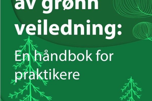 bilde bokomslag