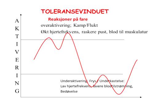 Illustrasjon av Toleransevinduet