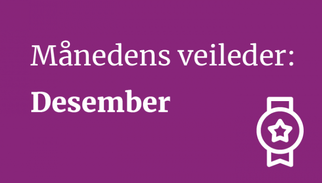 Månedens veileder desember